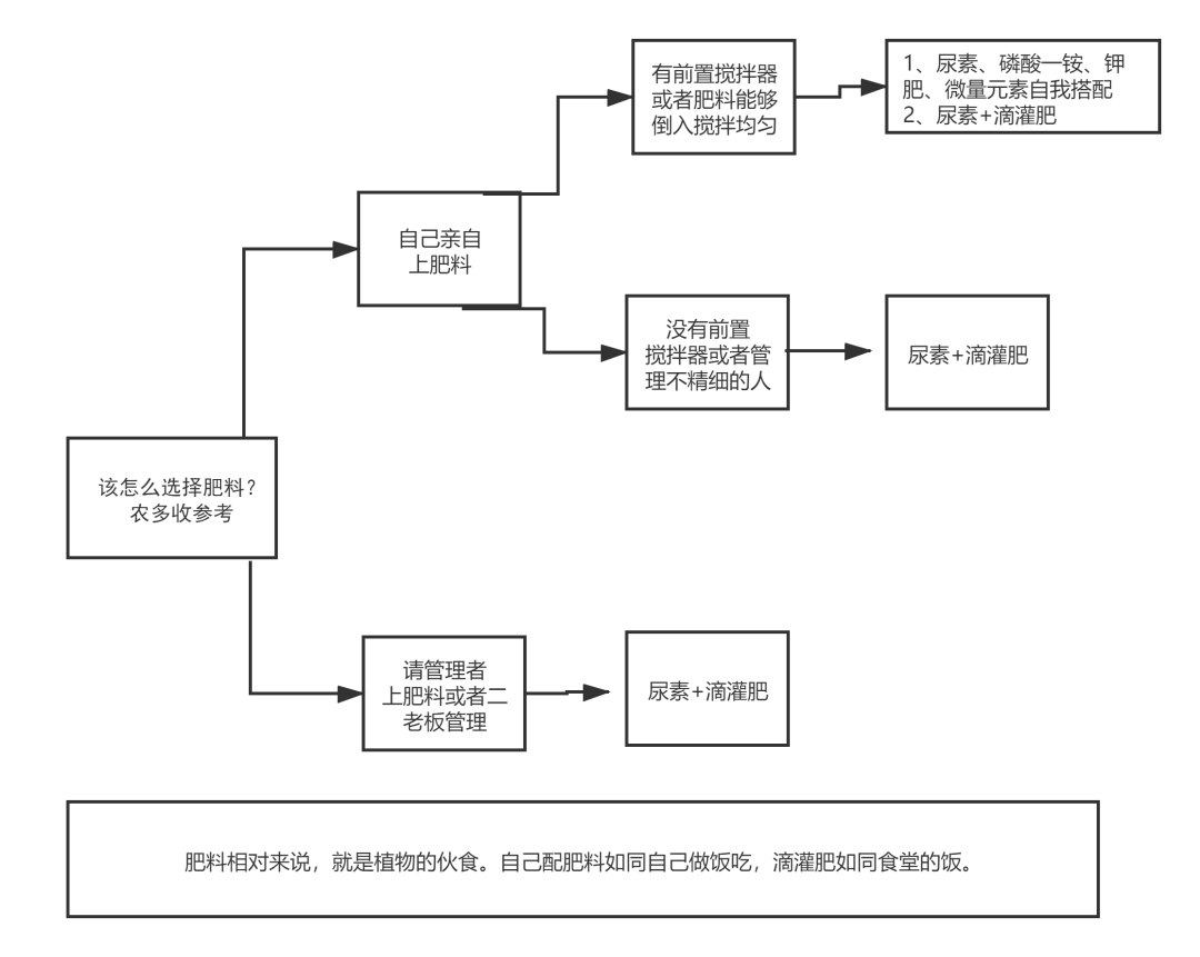 总结一下常见微量元素肥料的施肥要点