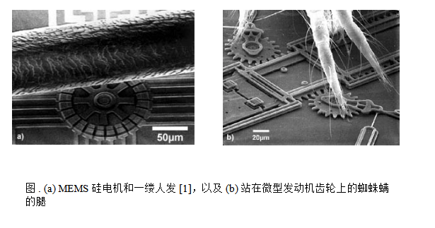 不锈钢拉链电镀