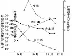 开瓶器与合成树脂项目有关吗